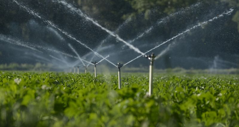 Irrigation Contractors